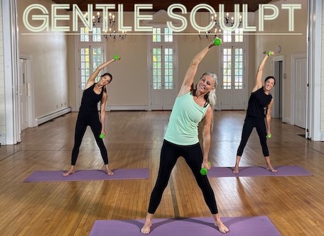 Gentle Sculpt With Ellen Barrett