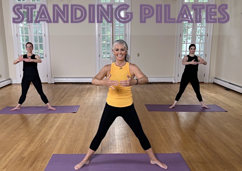 Ellen Barrett Standing Pilates