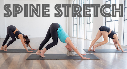 Ellen Barrett Spine Stretch
